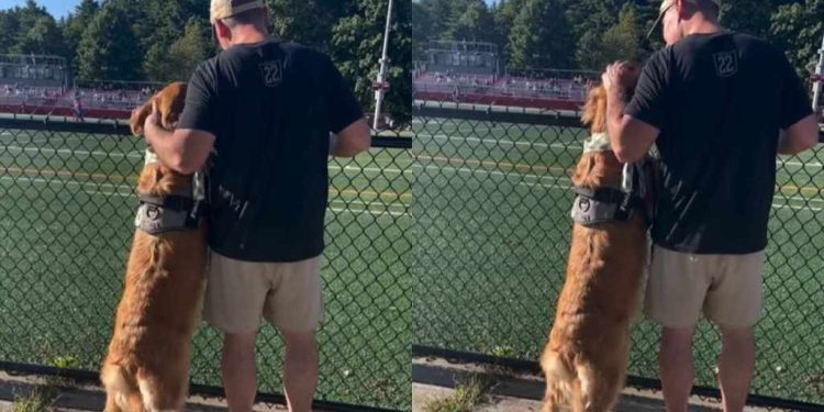 Golden Retriever Is a Little Too Thrilled to Watch Big Brother Play Soccer