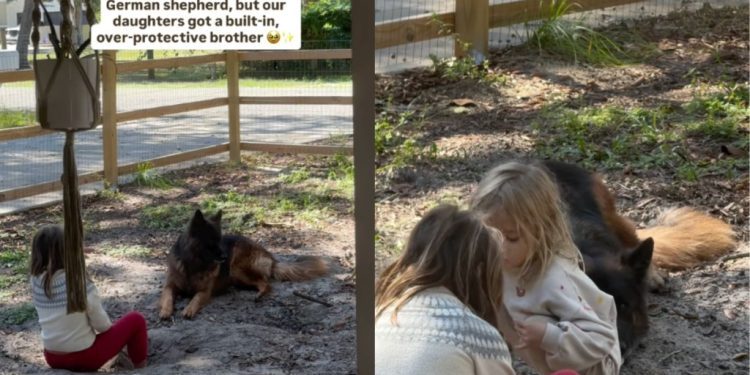 Big Dog’s Always Watching Over Tiny Human in Adorable Video