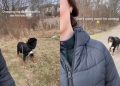 Video: Dog Pulls an Unexpected Move Seconds After Owner Drops the Leash
