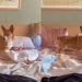 Corgi Puppy Starts Doing Zoomies on Pile of Laundry