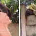 Dogs Peek Over the Wall at Neighbor’s House Only To Get Pets From Her