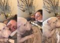 Dog Once Needed Mom’s Care in Emergency, Doesn’t Leave Her When She’s Sick