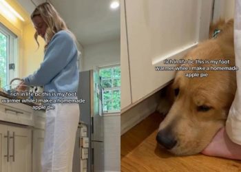 Golden Retriever Acts as Mom’s ‘Foot Warmer’ in the Kitchen