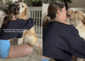 Mom Captures What Dogs Look Like When She Hugs Them