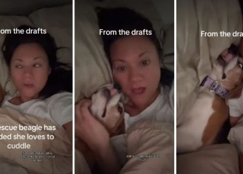 Rescue Dog Can Finally Find Peace After Cuddling With Owner