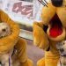 Golden Retriever Service Dog Beams as Pluto Gives Her a Hug