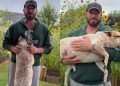 This Clever Dog Wanted To Smell the Flowers Without Getting Her Paws Wet