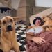 Rescue Dog Won’t Get on the Couch Until Dad Tells Him To, Then They Snuggle Together