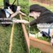 Shelter Dog’s Life Hasn’t Been Fair but a Break With Human Makes the Tough Days Easier