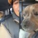 Human Adopts a ‘Nervous’ Rescue Dog, Unaware He’s About To Discover a Whole New Life