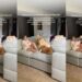 Golden Retrievers Comfort Postpartum Mom With Baby Using Skills They Know Best