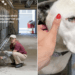Shelter Dog Doesn’t Let Humans Take Her Out of the Kennel, Scared of What Might Happen Next